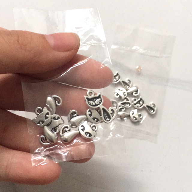 10 mèo nhỏ hồ ly xi bạc
