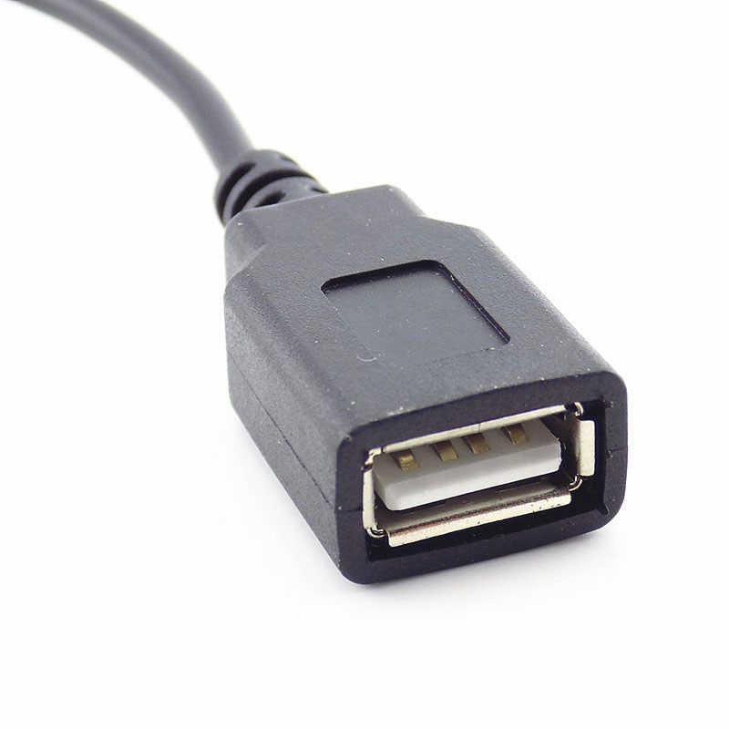 Cáp ChuyểN ĐổI Mở RộNg 0.3m USB 2.0, 2 Pin 4 Pin, DIY 5V