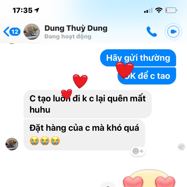 Dyng thuy dung
