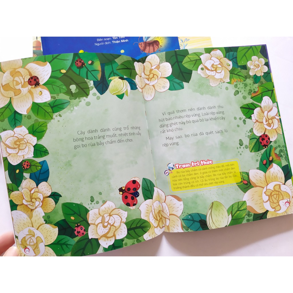 Sách - Combo 20 Cuốn Bách Khoa Thư Nhí - NXB Kim Đồng - Chọn Lẻ