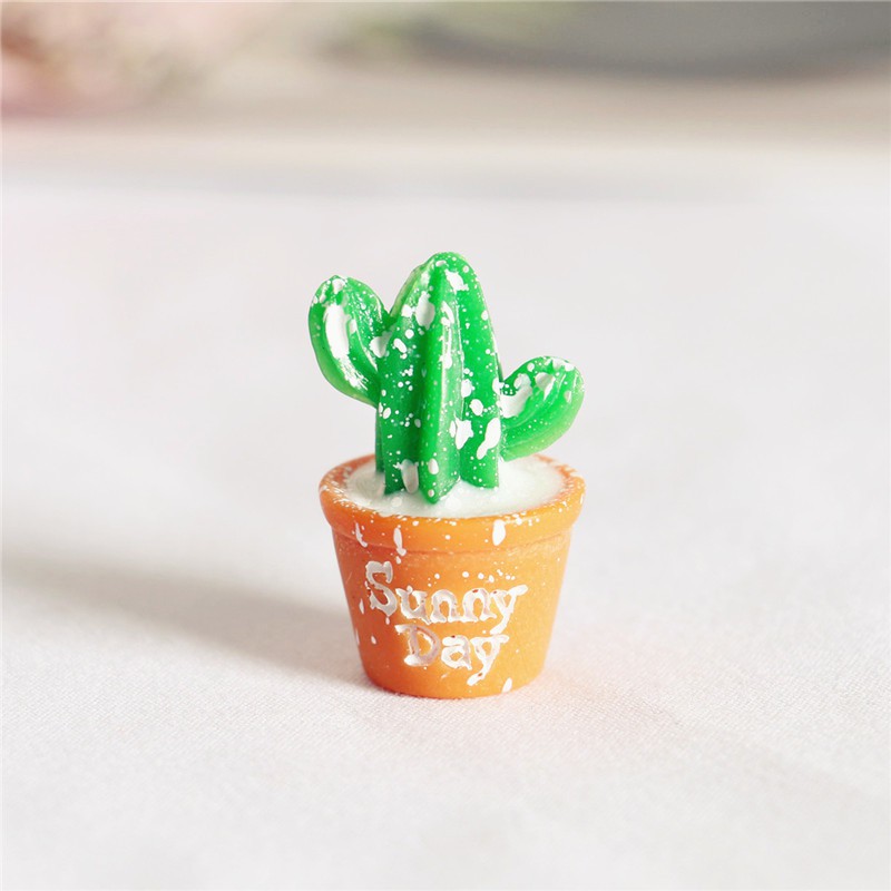 Mô hình chậu Sen Đá nhỏ làm tiểu cảnh, terrarium, nhà mô hình