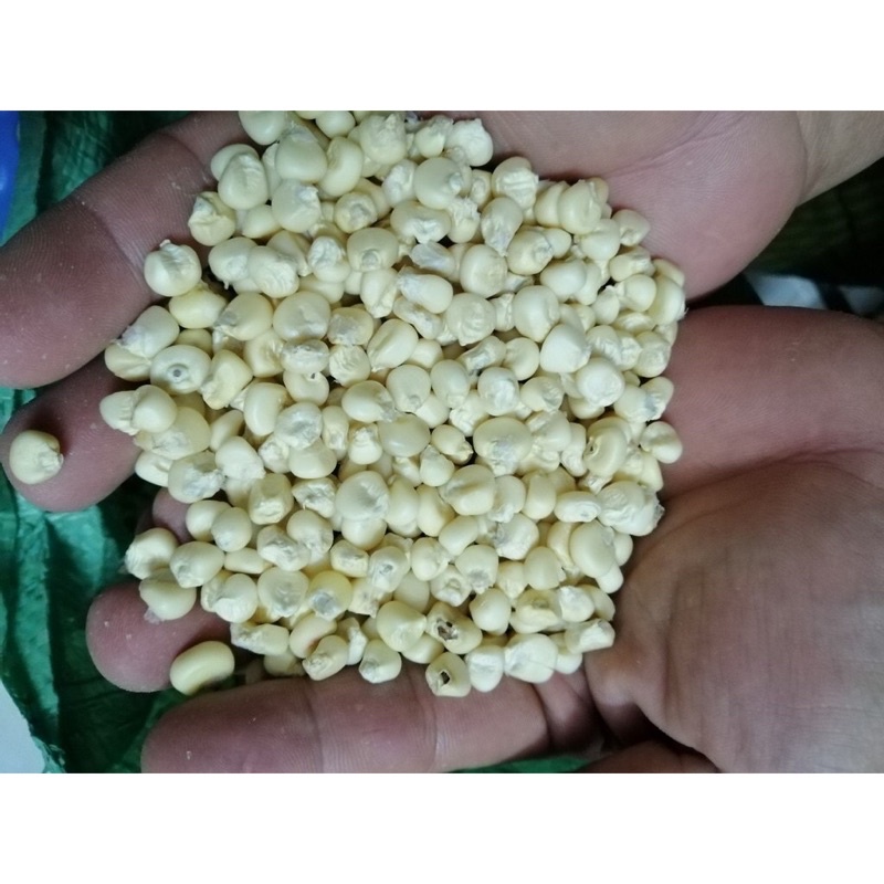 Ngô nếp khô 500gr