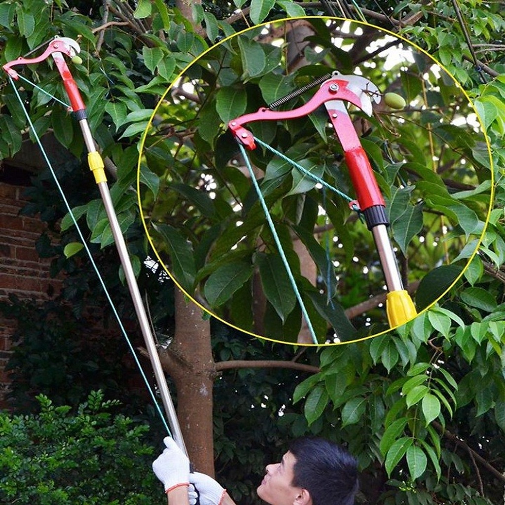 Đầu kéo cắt cành cây trên cao,tỉa cây cảnh,hái quả chuyên dụng hàng tốt
