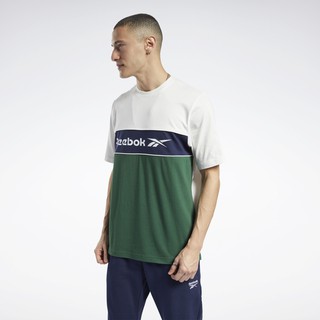 Áo thun thể thao nam reebok classics linear tee ft7339
