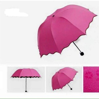 (GIẢM MẠNH )Ô dù gặp nước nở hoa màu hồng cánh sen