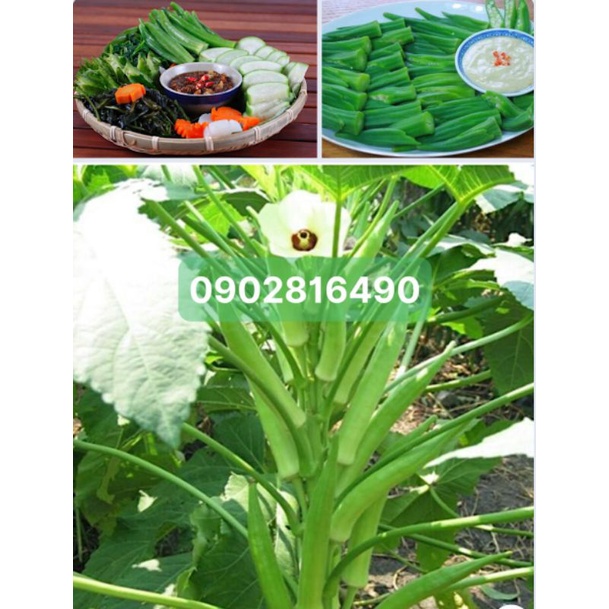 Đậu bắp(1kg)