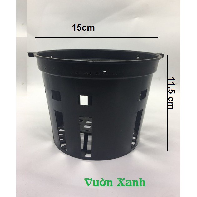( SIÊU RẺ ) Combo 10 chậu lan đen phi 16