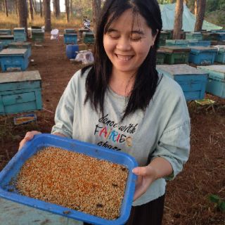 1 Kg phấn hoa Cà Phê Đăk Lăk