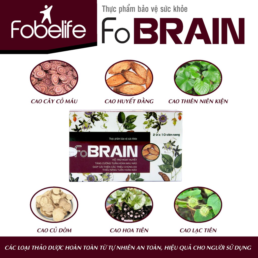 Viên uống FOBRAIN FOBELIFE Giảm Rối Loạn Tiền Đình, Tăng Cường Tuần Hoàn Máu Não (Hộp 20/ viên)