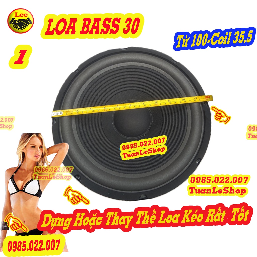 1 CỦ LOA BASS 30 TƯ 100MM CHO LOA KÉO HOẶC AMPLI NHỎ - GIÁ 1 CỦ LOA 3 TẤC - 1205