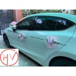 HOA XE CƯỚI TRẮNG HỒNG