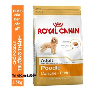 Thức ăn hạt cho chó Poodle - Royal Canin Poodle Adult - 1.5kg (trên 10 tháng)
