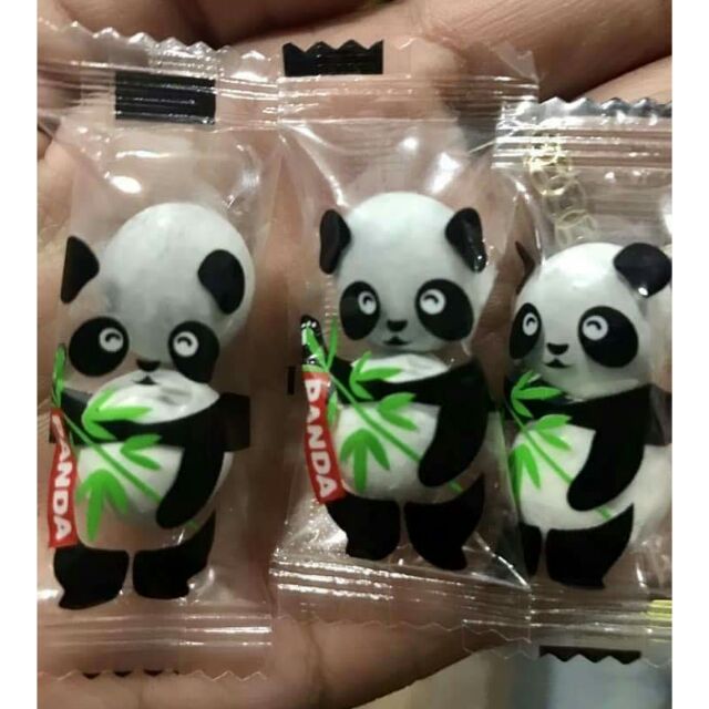 Kẹo socola gấu trúc panda