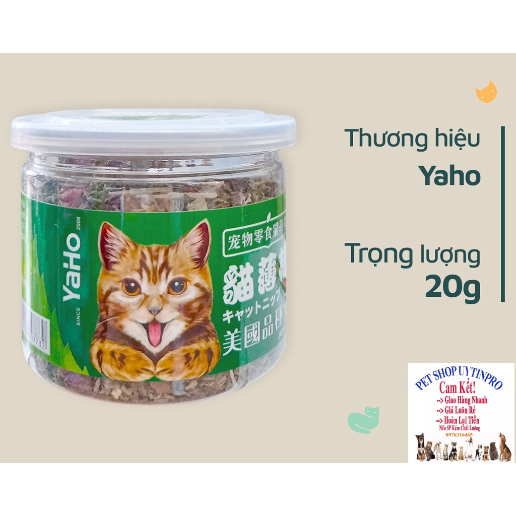 Cỏ catnip cho Mèo Yaho hộp 20g Giúp bổ sung vitamin và khoáng chất, Cân bằng dinh dưỡng, Hỗ trợ tiêu hóa