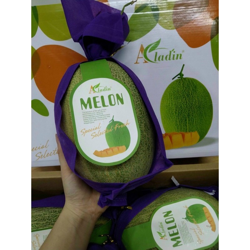 Dưa lưới Melon 1,5kg