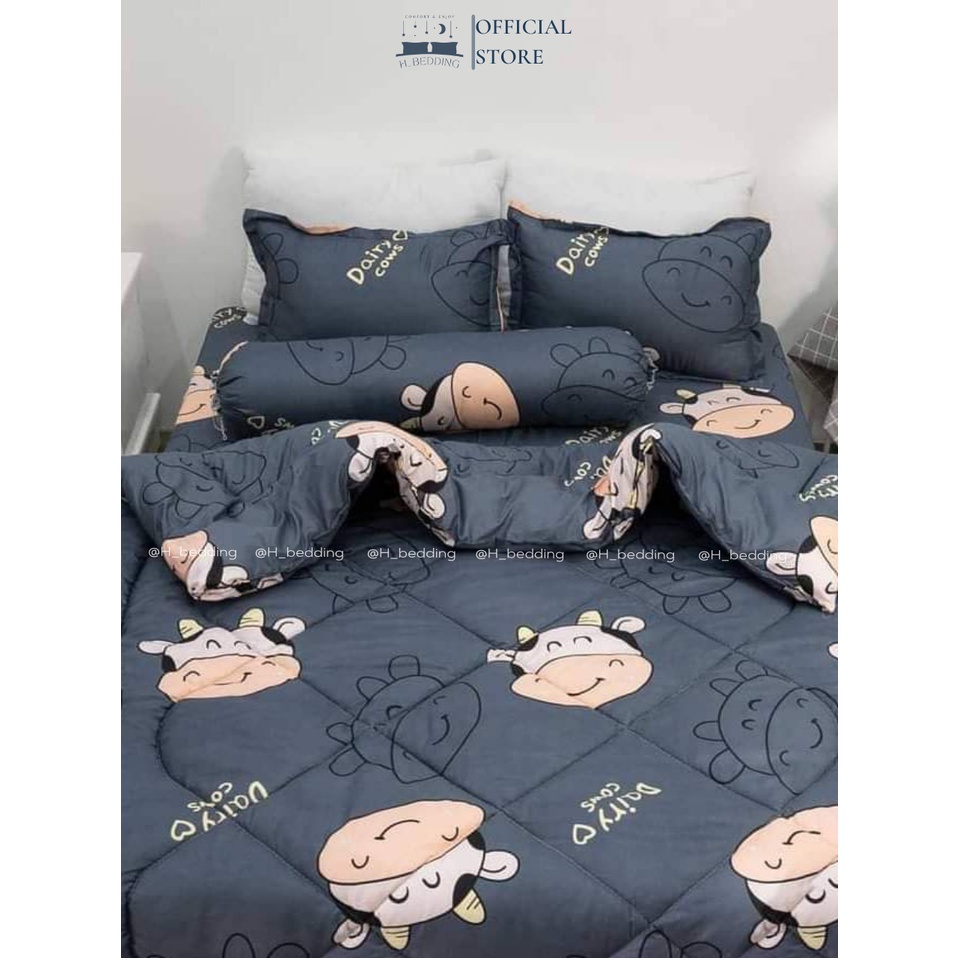 Chăn phao cotton poly,Mền trần bông siêu nhẹ 1m8x2m nhiều mẫu mã