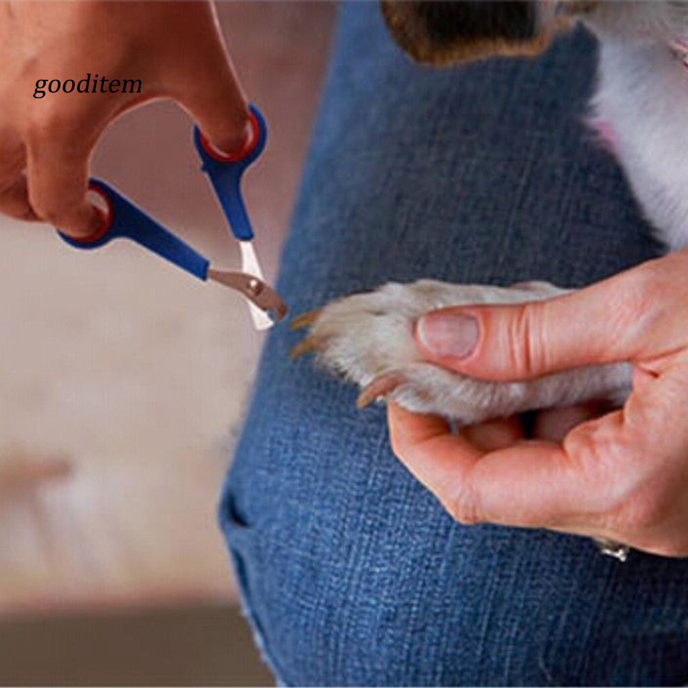 Kéo cắt móng chó/mèo/thỏ tiện dụng