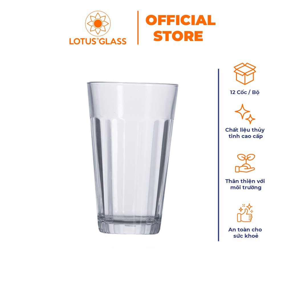 Bộ 12 cốc sọc to thủy tinh LOTUS GLASS VTC55 trong suốt cao cấp, an toàn, dùng để uống nước, trà đá, cafe