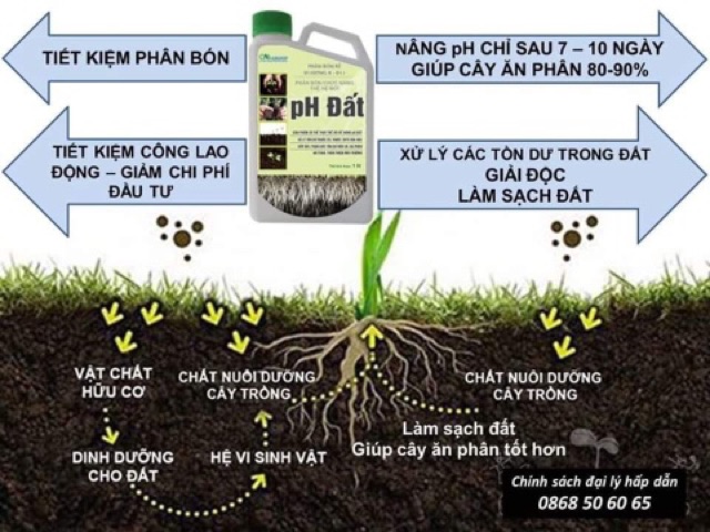 PH Đất - Giải Độc Đất, Thay Thế Vôi