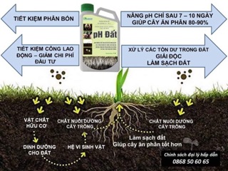 PH Đất - Hạ Phèn, Thay Thế Vôi