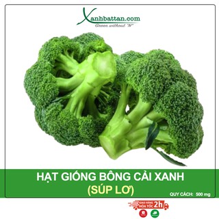 Hạt Giống Bông Cải Xanh Phú Nông Gói 500 Mg