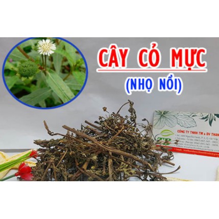1kg Cỏ Mực nhọ nồi (cành lá khô, sạch, mới)
