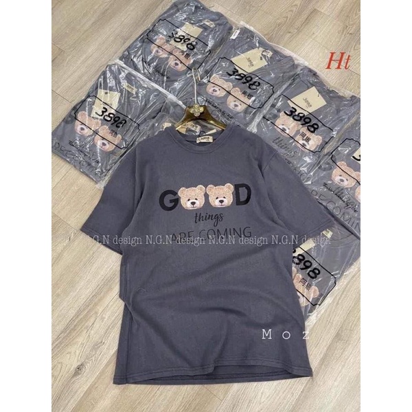 Áo phông good hai gấu HT11