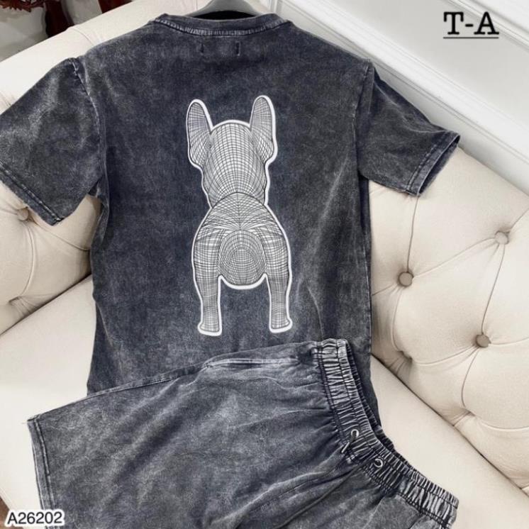 [Sẵn Hàng] Bộ Nam In HÌnh Doggy Chất Cotton Loang Cao Cấp - Bộ Nam Mùa Hè