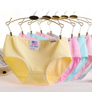 Combo 10 Quần lót cotton Pulo