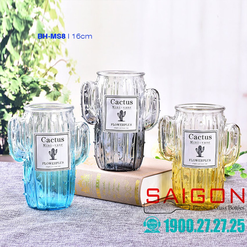 Bình Hoa Cây Xương Rồng nhiều màu Sắc cao 16cm ( không tem nhãn )