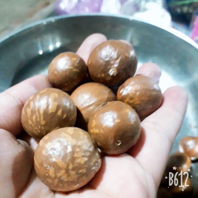 Macca tươi