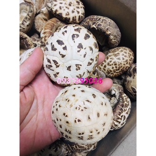 Nấm đông cô nhật hàng loại 1 to - dày thịt - thơm ngọt