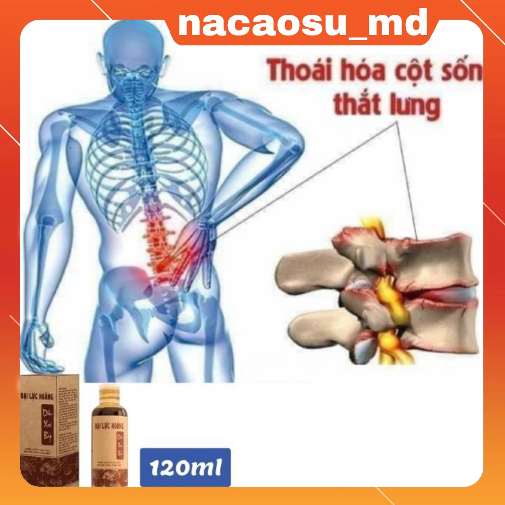 [ COMBO 3 CHAI ] --DẦU XOA BÓP ĐẠI LỰC HOÀNG GIẢI PHÁP THOÁT VỊ ĐĨA ĐỆM -- DỨT ĐIỂM ĐAU XƯƠNG KHỚP.