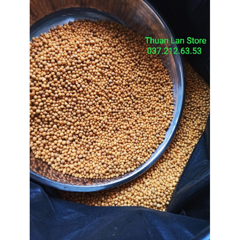 Gói 1kg Phân Tan Chậm Vàng Mỹ Oscomote 14-14-14