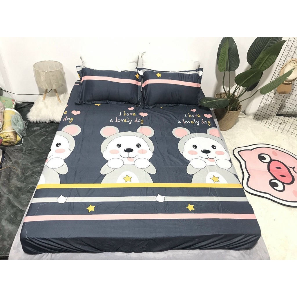 Bộ Ga Gối Trải Giường Poly Cotton M2/M6/M8/2m2 được chọn mẫu.