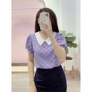 Chiffon_Áo sơ mi chấm bi cổ phối