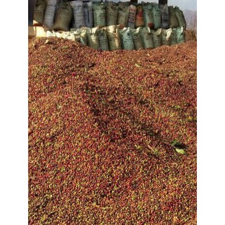 Cà phê Robusta nguyên chất 100% 250gr-500gr