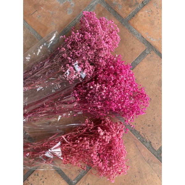 Hoa bayby khô đủ màu bó 120gram