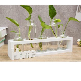 Set kệ và bình thủy tinh nghệ thuật HOME SWEET HOME