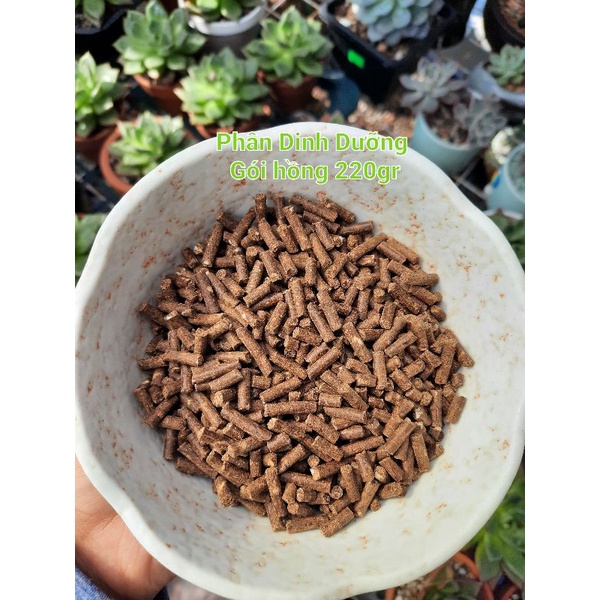 Phân bón dinh dưỡng tan chậm dành cho sen đá giúp tăng màu. Gói 220gr