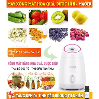 Máy xông mặt hoa quả