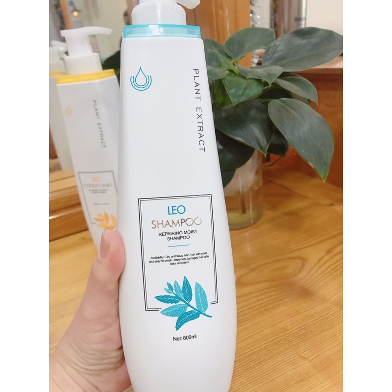 Cặp dầu gội xả siêu mềm mượt Leo prosee | BigBuy360 - bigbuy360.vn
