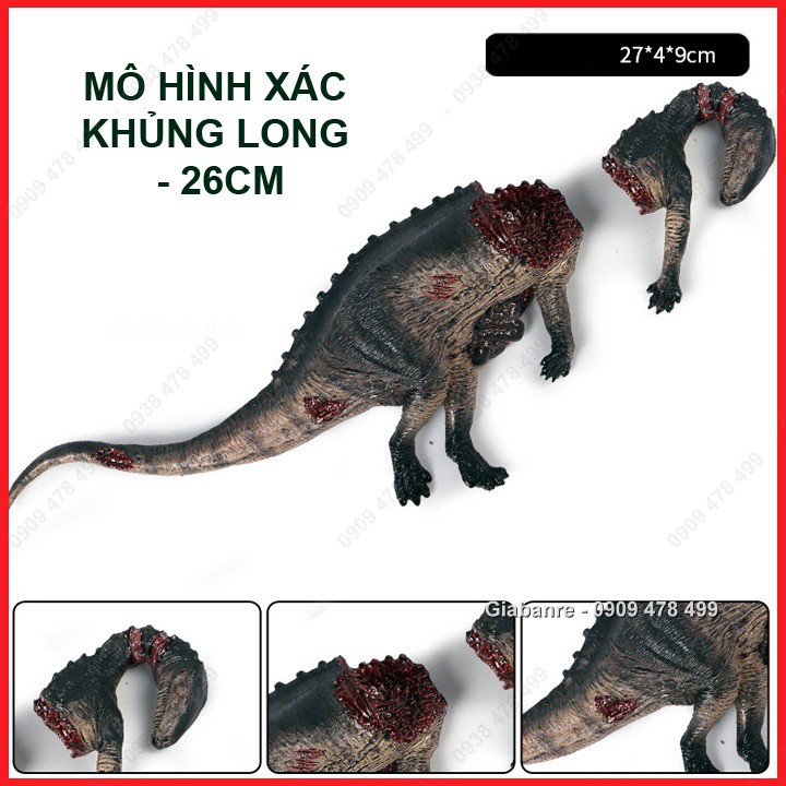 Mô Hình Xác Khủng Long Sống Động - 7718.2