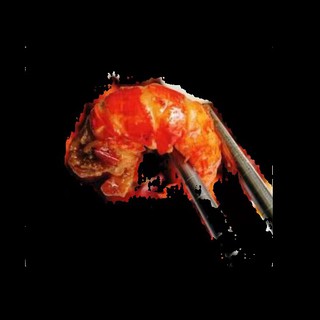 HY Tôm hùm đất Grawfish tê cay ngon không cưỡng nổi 15g đồ ăn vặt 2021