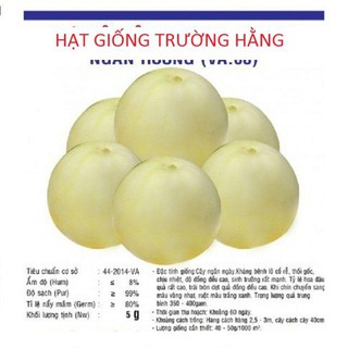 Hạt giống dưa lê siêu ngọt F1 gói 10 hạt xuất xứ Việt Nam