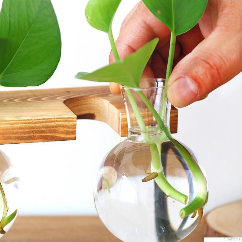 Lọ hoa thủy tinh kèm giá đỡ bằng sắt cao cấp dùng trang trí bàn làm việc