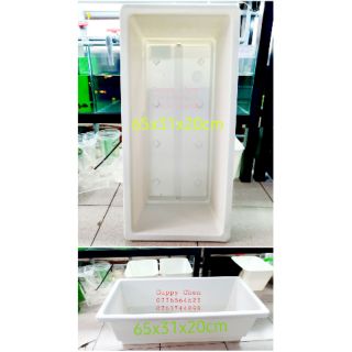 Combo Khay chữ nhật nuôi cá 65x31x20cm