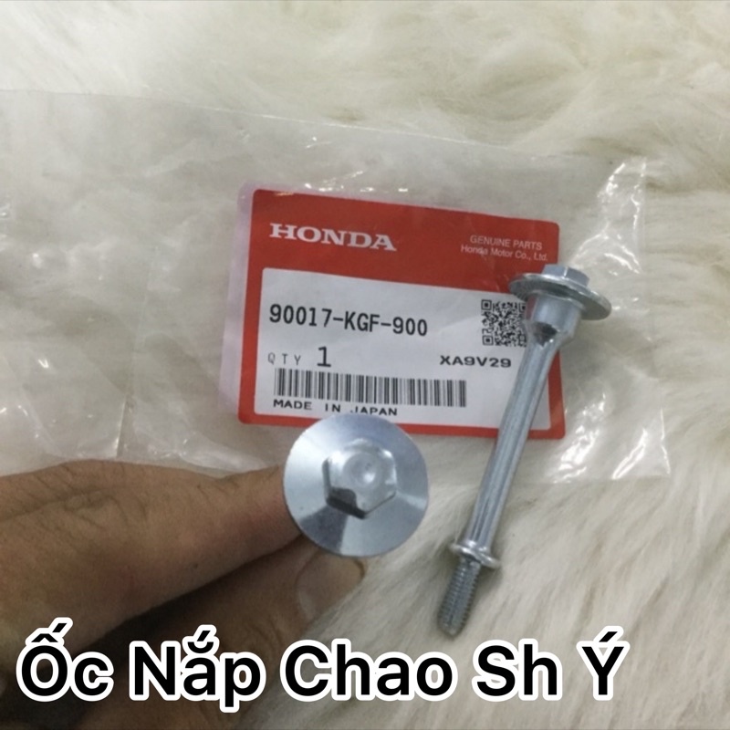 Ốc nắp chao : Sh Ý , Dylan , Ps (  Giá 1 con )