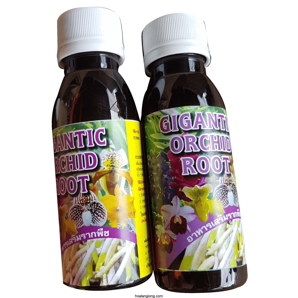 Phân bón kích rễ siêu mạnh GIGANTIC ORCHID ROOT chuyên dùng cho Phong Lan hàng nhập khẩu Thái Lan chai 100ml