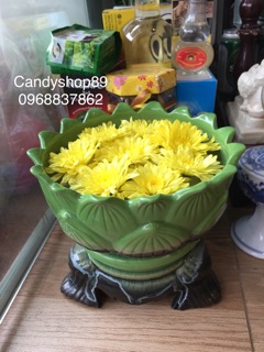 Bát thả hoa kèm đế